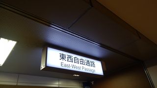 ただの通路ではなく、お店やショールームもあります