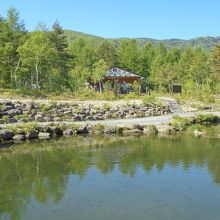 奥に見えるのが管理棟