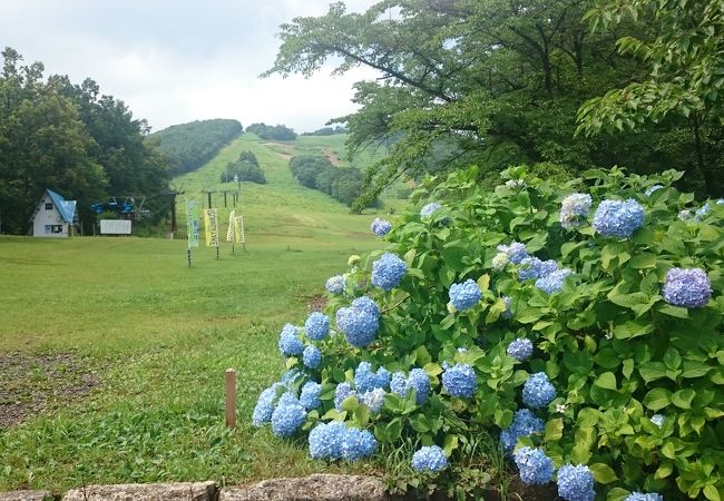 泉ヶ岳スキー場 クチコミ アクセス 営業時間 仙台 フォートラベル