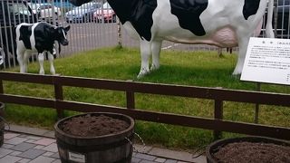 撮影スポットが豊富