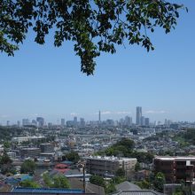 展望室からは横浜市街が一望
