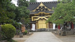 ピッカピッカに輝いていました☆