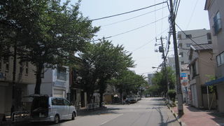 芭蕉通りは桜並木