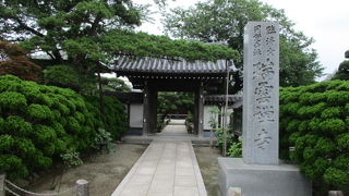 山門、鐘楼、本堂は見ごたえあり、境内は落ちついた雰囲気で癒されます。