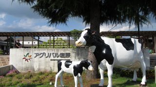 国道４０２号沿いの施設充実の道の駅