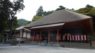 きれいになっていました