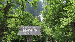 細く繊細な白糸のように・・・