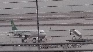 広いスカイデッキ