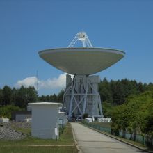 夏場は上を向いてリラックス