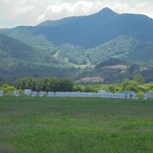 電波ヘリオグラフ群