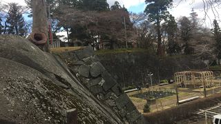 盛岡市民の花見所