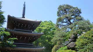 想像以上に見どころの多いお寺