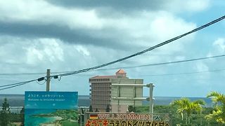 ドイツとの交流