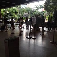 タイパフェリーターミナル行シャトルバス乗り場