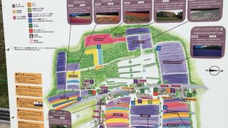 7月中旬は大混雑