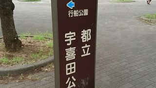 グランドもある広い公園