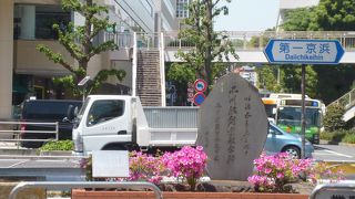 ピンクの花が彩りを与えていました