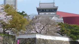 お城と桜と川縁の公園と・・・・