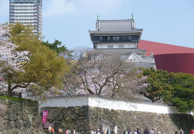 お城と桜と川縁の公園と・・・・