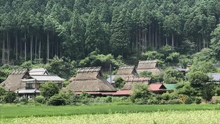 まさに日本の原風景が残る茅葺の里！