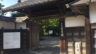 彦根城天守も景観の一部 青紅葉の美しい頃に