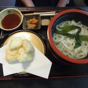 ゆば釜揚げうどん