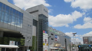 大きいですねぇ。