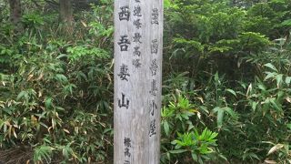 池塘と高山植物