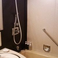 シャンプー類が２種類置いてあった