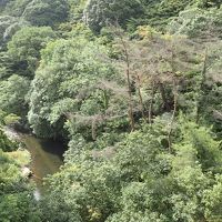 ４階ロビーから