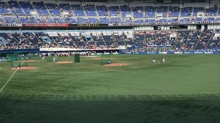 夏はビールが美味しい