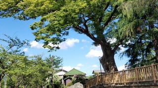 地元に親しまれる親水公園