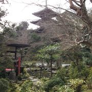 落ち着いた雰囲気の庭