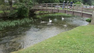 穏やかな気分になる川でした