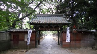 石鳥居をくぐると見えてくる小さい門です