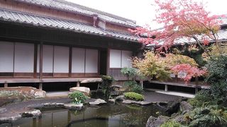 桜島＆紅葉スポット