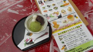 花の中でお茶しました