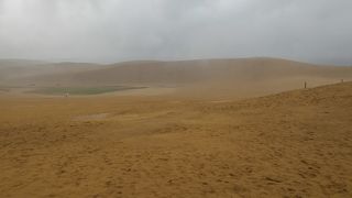 本当に砂の丘！日本にこんなところがあったとは