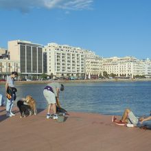 時間を忘れて戯れていたい光景