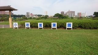 時季外れですが。