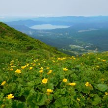 登山道から見る田沢湖