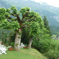 ホテルの前庭の椅子に座って、山々が見える