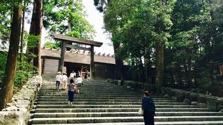 早朝がおすすめです