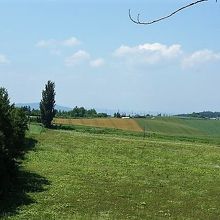 ケンとメリーの木が見えます。