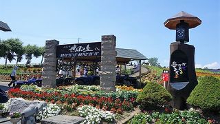 規模は小さいけど、お花がきれい