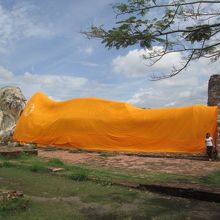 ワット ローカヤースッター