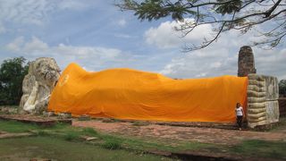 寝ているのは屋外