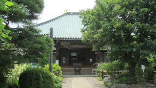 仏教の三大聖樹が見つかるかも・・・。