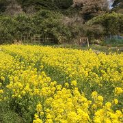 季節ごとに楽しめる