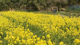 季節ごとに楽しめる